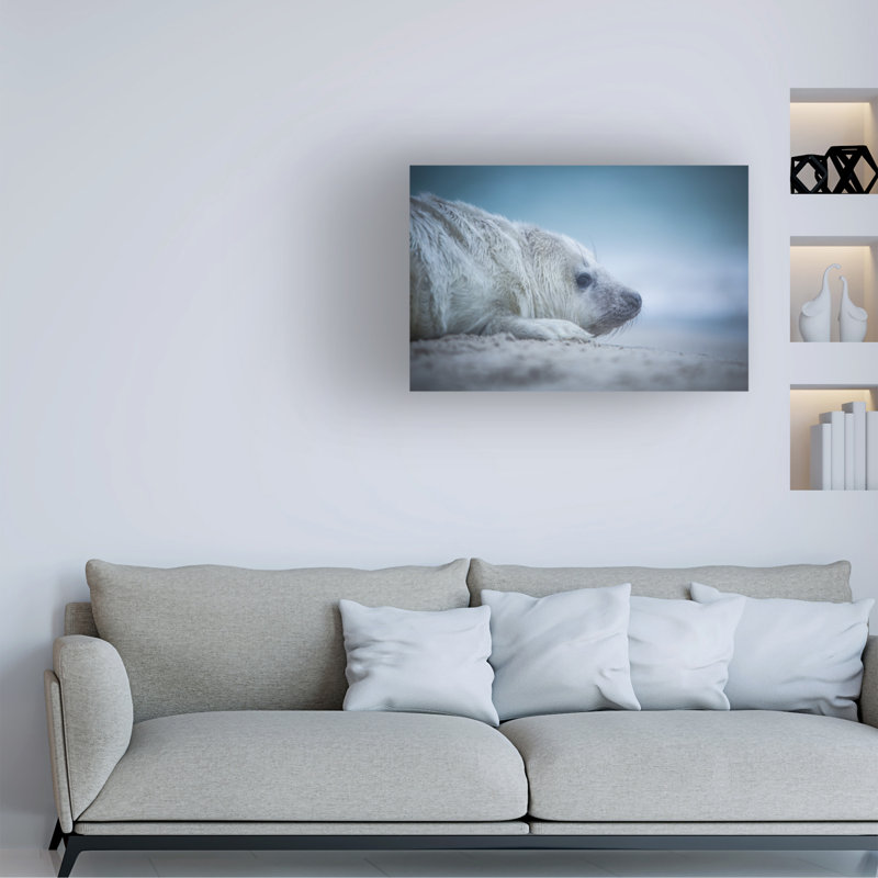 Bolog Lucie Pesakova Baby Seal Canvas Art, 16" H x 24" W