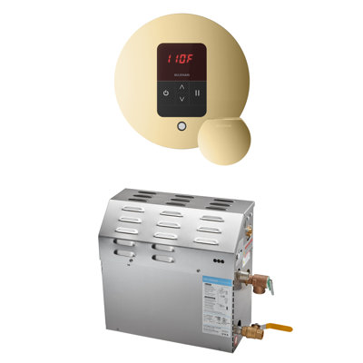 MS 9 kW (9000 W) Steam Shower Generator Package with round iTempo Control