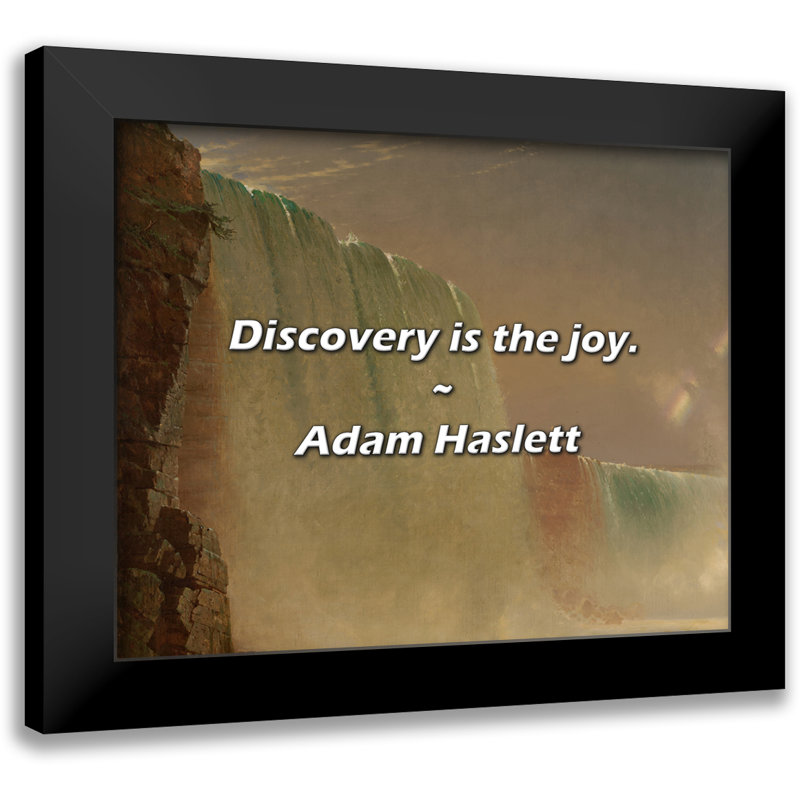 Adam Haslett Quote: Discovery is the joy.
