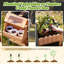 Cuisine de boue avec boîte d'observation pour insectes et jardinière, cuisine pour tout-petits-129355316