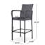 Outdoor Wicker Barstools (Set of 2)-1272070203
