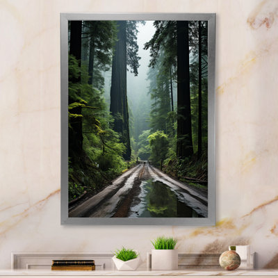 États-Unis, Jedediah Smith, forêt de séquoias, reproduction sur toile
