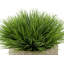 Gazon artificiel 8 po dans un panier-1972723837-1941322101-1972723836