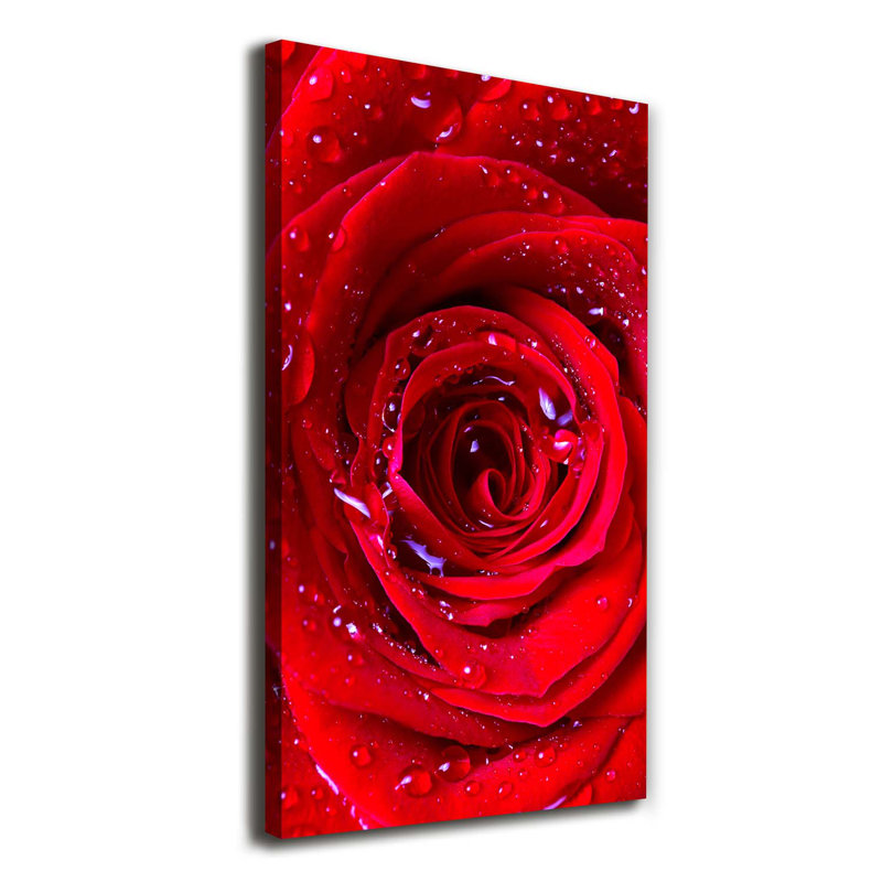 Red Rose - Wrapped Canvas Print