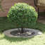 Tree Ring Decorative Garden Modern Protector Outdoor Ornament Base Home-496734212