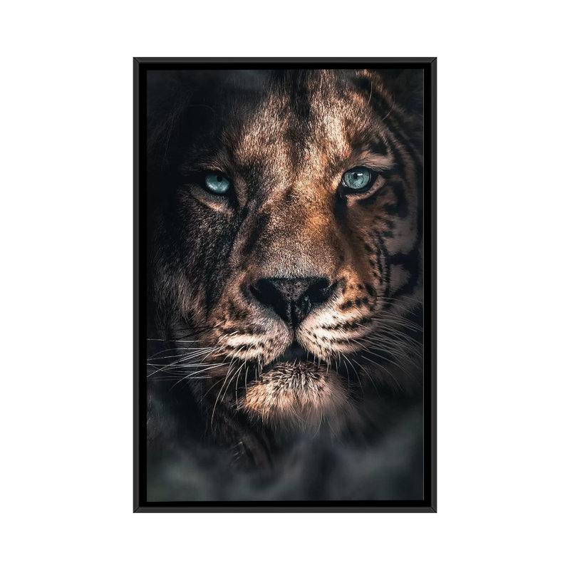 Half A Tiger Half A Lion by Zenja Gammer - Print on Canvas, 66.04 cm H x 45.72 cm W, Black Framed