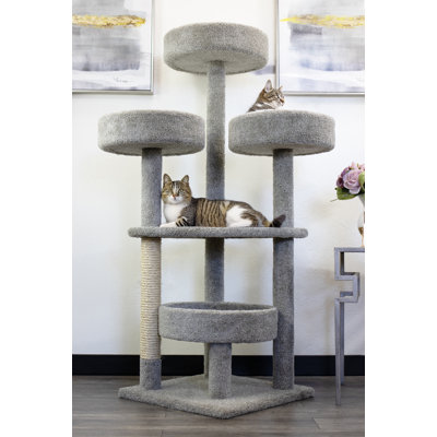 Arbre à chat New Cat Condos