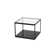 Tamon Glass Coffee Table