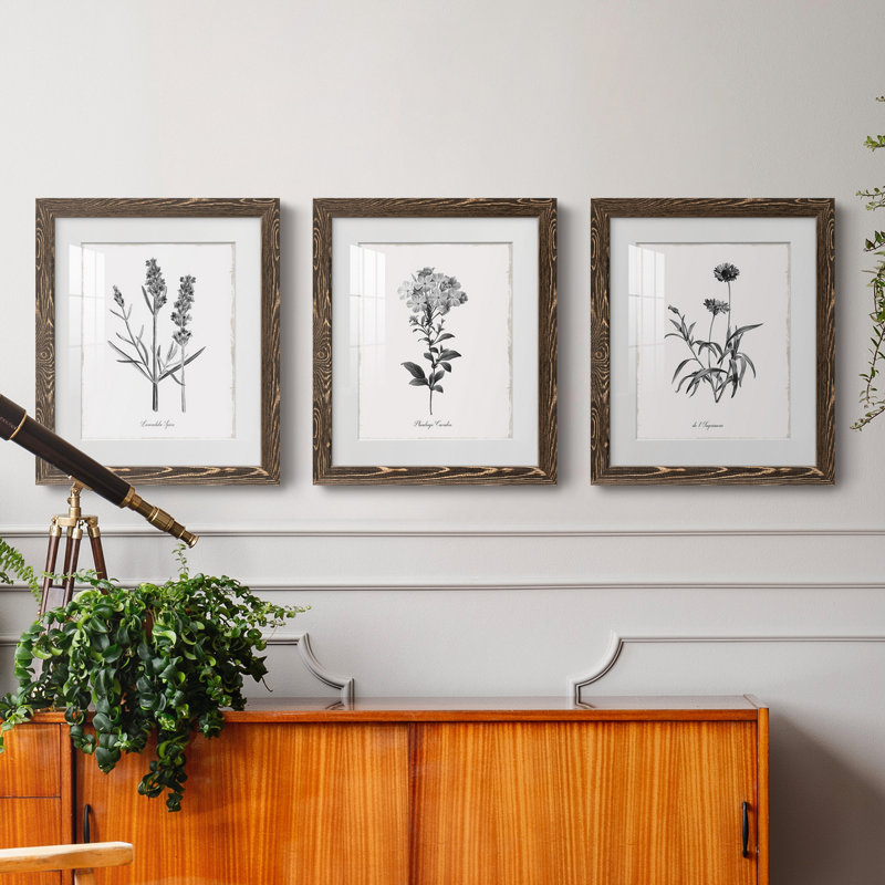 Simply Imperial - Ensemble de 3 cadres photo, H 37,5 po x l 82,5 po x P 1,5 po, Noyer