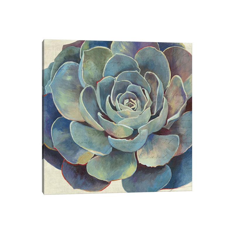 Succulence I by Aimee Wilson - Wrapped Canvas Painting, 93.98 cm H x 93.98 cm W x 3.175 cm D