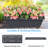 Ninos Vertical Garden-43188311-43188308