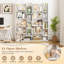 163cm H x 69cm W Bookcase-1888247318
