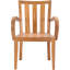 Chanelle Outdoor Teak Dining Armchair