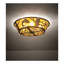 Leaping Trout 4 - Light Flush Mount