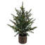 SEASONAL GREENERY TREE S/2 PINE BSKT 2FT