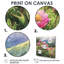 Grabiel, pivoines dans les forêts, II - art mural pivoines-2125520573-2125520569-2125520719