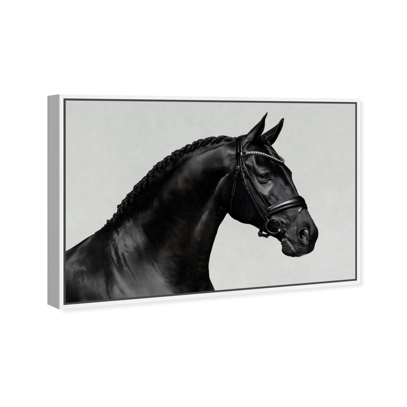 Midnight Majesty I Print by Oliver Gal, 25"H x 17"W, White Floater Frame