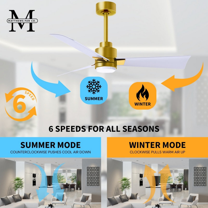 Alessandra - Three Blade Transitional Ceiling Fan -LED, Matte White, Brushed Brass, 56"
