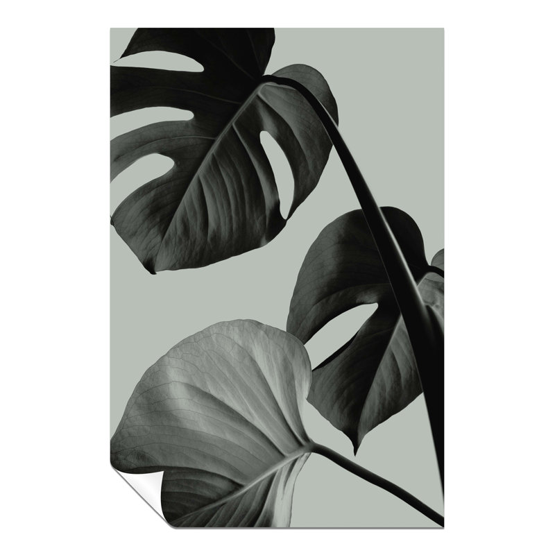Teal Monstera Leaves - No Frame Print, 31cm H x 20cm W