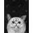 Watching Cat Print On Canvas