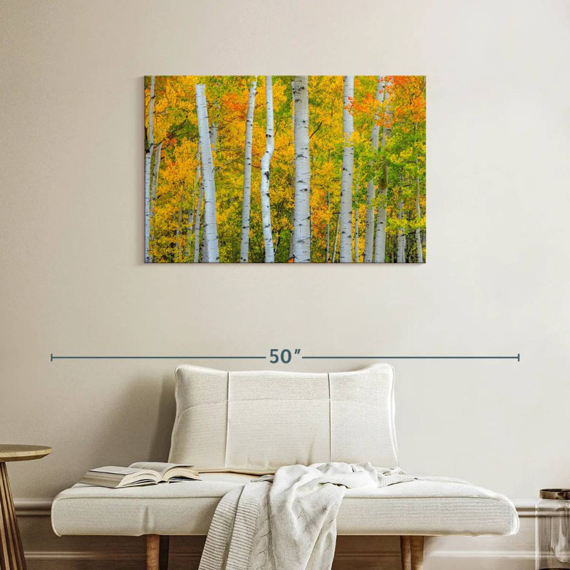 Arbres Telluride d'Alvord, H 24 po x l 36 po