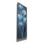 «Epic Graffiti« Evening Off White Floral 1 »par Silvia Vassileva, art mural sur toile, 12 po x 36 po