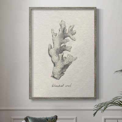 Shore Treasure Study II, reproduction encadrée - bois massif
