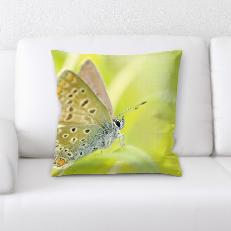 Housse de coussin carré et insert Butterflies