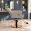 Fauteuil de salon pour coiffeur, fauteuil de coiffeur pour salon de coiffure avec pompe hydraulique professionnelle - gris / or-108808824-129176280