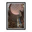 Atrium Framed Photographic Print