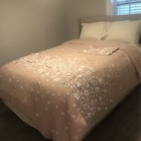 Christian Siriano Confetti Flowers 2-Piece Blush Twin XL Comforter Set  CS2994BSTX-1500 - The Home Depot