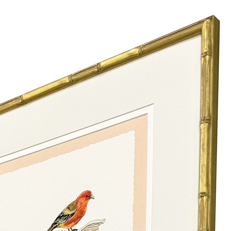 Bird with Shell Framed Art