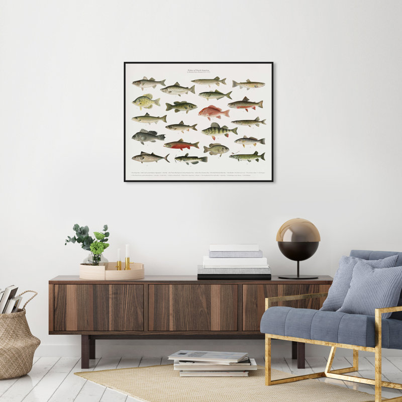 " American Fish " Painting Print, 36" H x 30" W, Black Framed