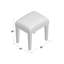 Cain Mirrored Upholstered Vanity Stool