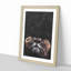 Lion Looking Upwards - Picture Frame Graphic Art Print-56853251-56853248