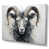 Wrapped Canvas