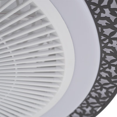 Coye Ceiling Fan with LED Lights