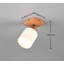 Kayl 1-Light 10cm Ceiling Spotlight
