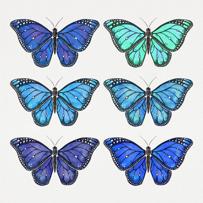 " Butterfly Collection Blue "