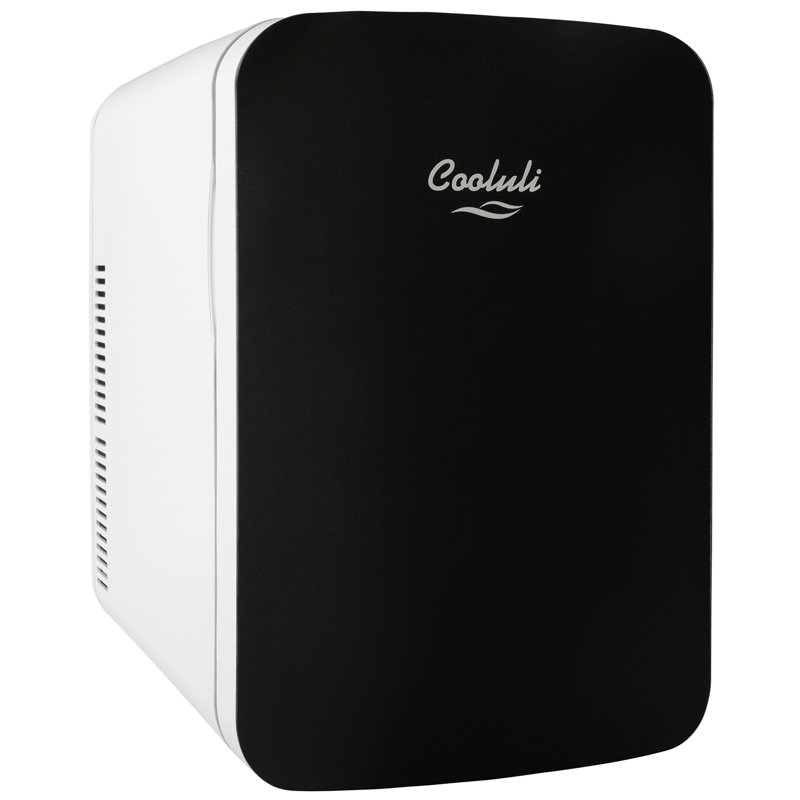 Compact Black Portable Mini Fridge with Smooth Door