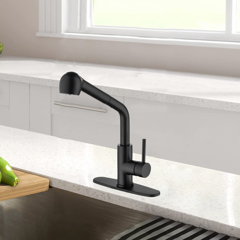 Robinet de cuisine rétractable à poignée simple avec accessoires, Noir mat