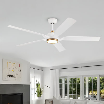 Kaveesh 60'' Ceiling Fan with LED Lights