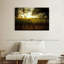 Alvord Oakville Vineyard-107685202