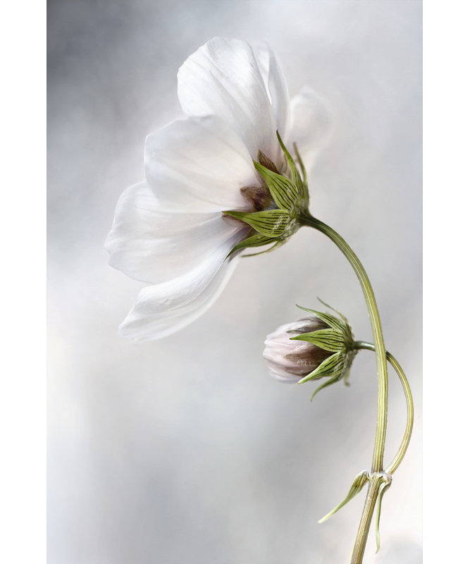 Wrapped Canvas Print, 91.44 cm H x 60.96 cm W