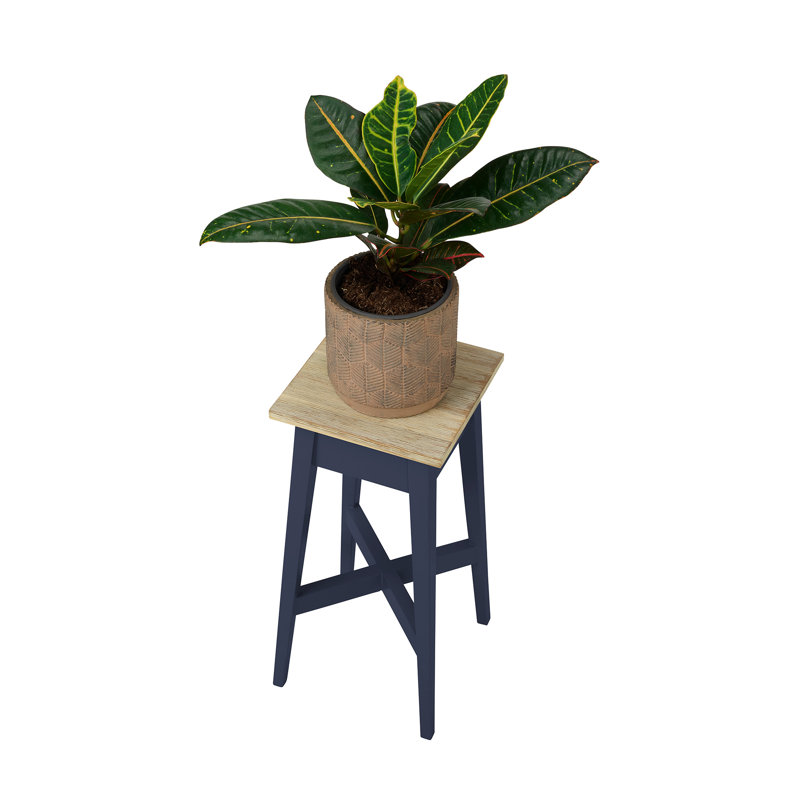 Decatur Plant Stand, Navy Blue, H50 x L24 x D24cm
