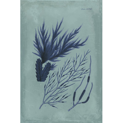 Indigo and Azure Seaweed II by Vision Studio - Painting