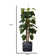 Buchanan 66" Artificial Scindapsus Aureus Tree in Planter