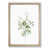 Oak Framed selected