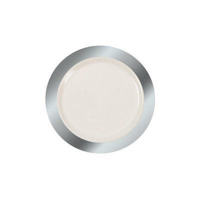 Disposable Dessert Plate