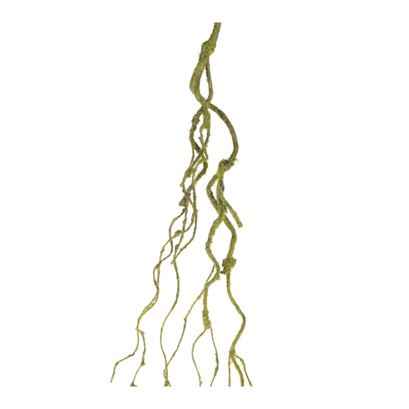 Mossy Twig Vine (ensemble de 6)